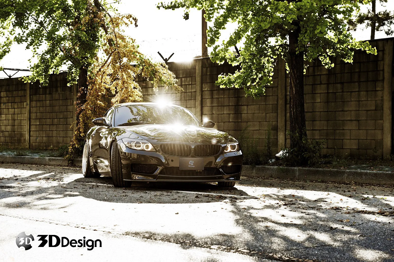 3D Design E89 Z4 M-Sport Carbon Front Lip