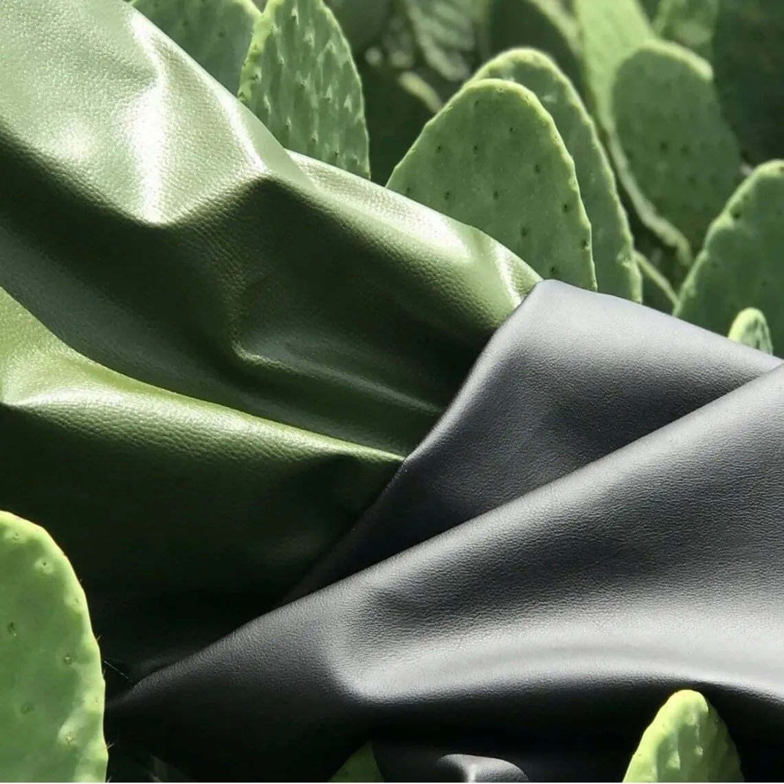 Cactus Leather Watch Strap - Green & Black