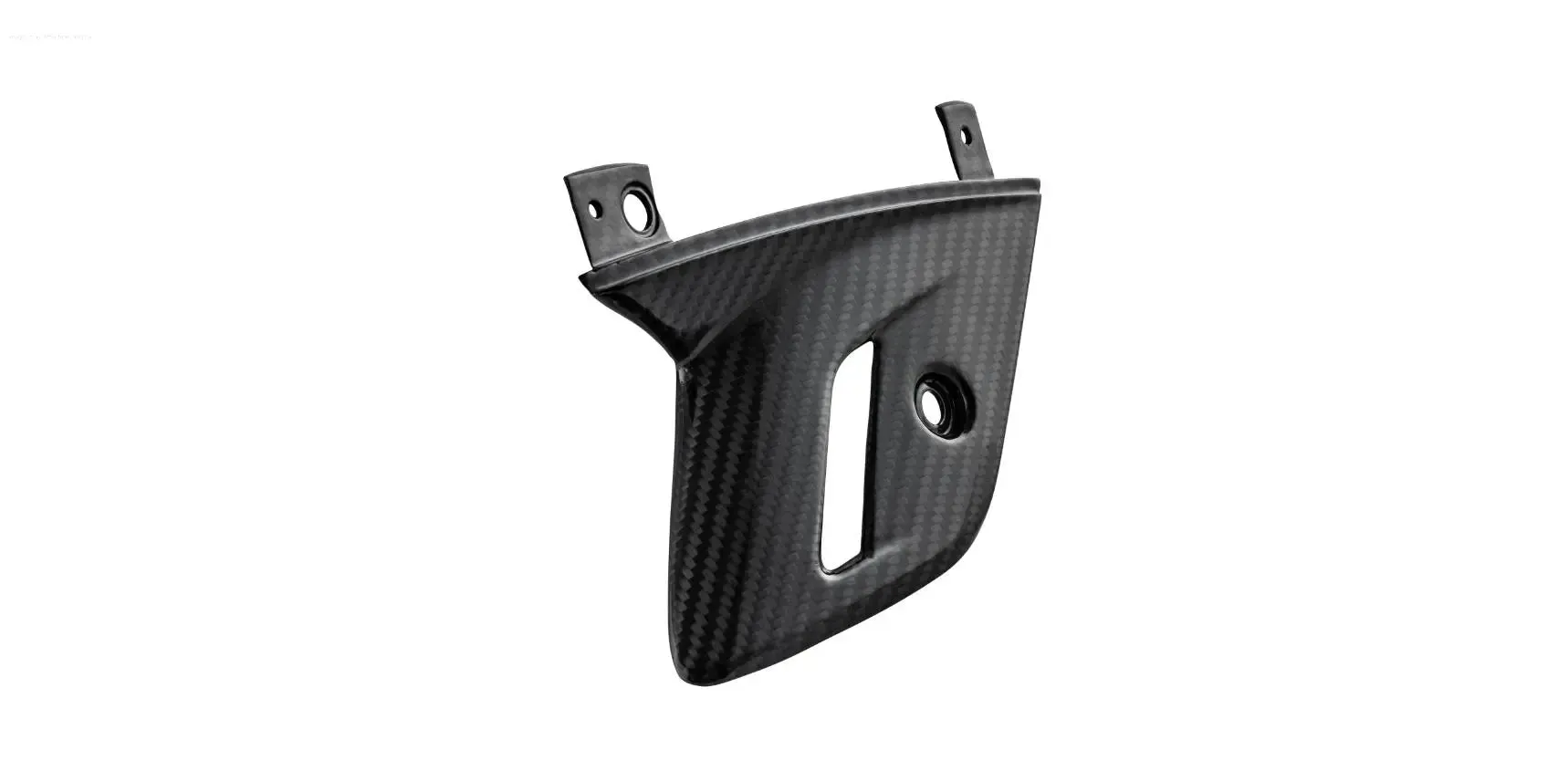 Carbon Fiber Fork Cover RACEFOXX | Vespa GTS/GTS Super 125/300cc (`23-)
