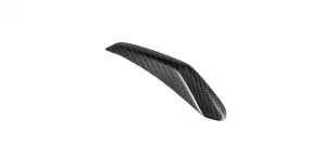 Carbon Fiber Mudguard Crest RACEFOXX | Vespa GTS/GTS Super 125/300cc (`23-)