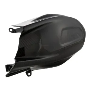 Carbon Fiber Vario Cover RACEFOXX  | Vespa GTS/ GTS Super/GTV 300 HPE (`18-)