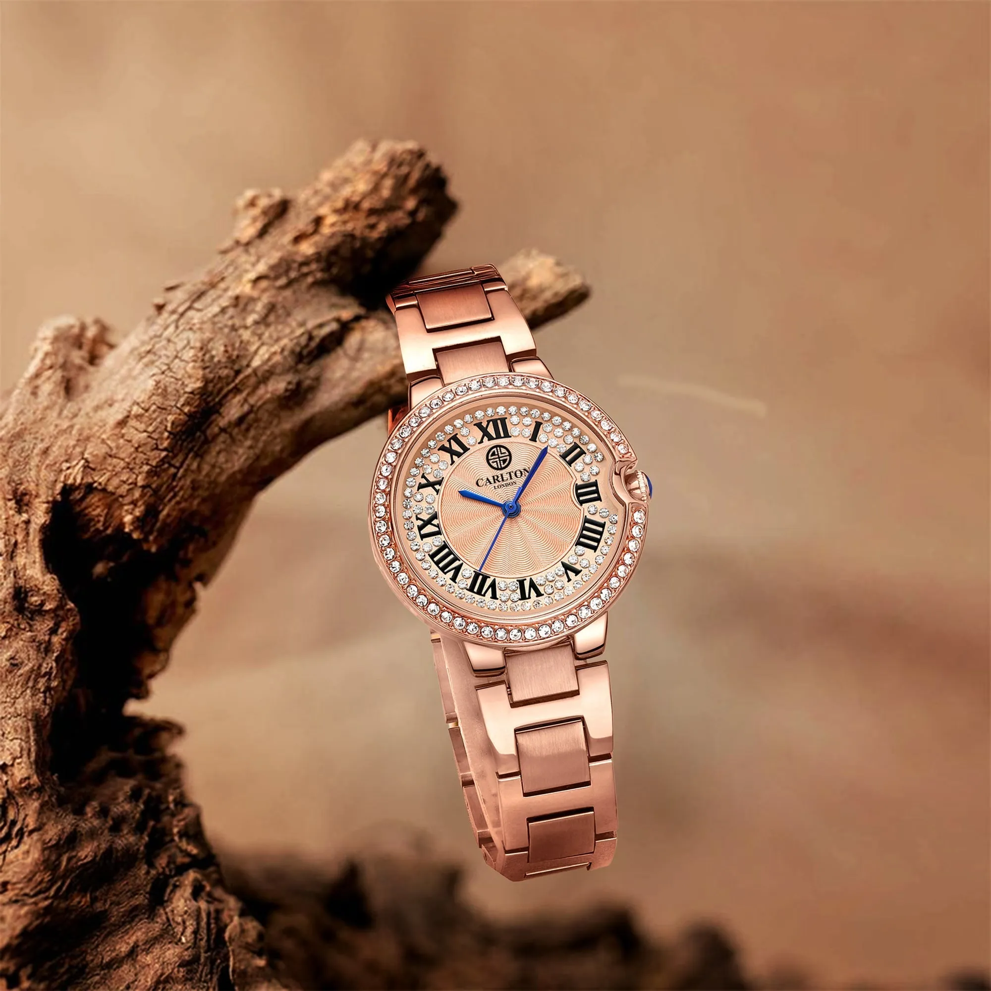 Charlotte Women Analog Watch-CLDRGS-001