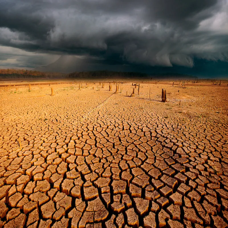 Climate change and Sustainability in Healthcare
