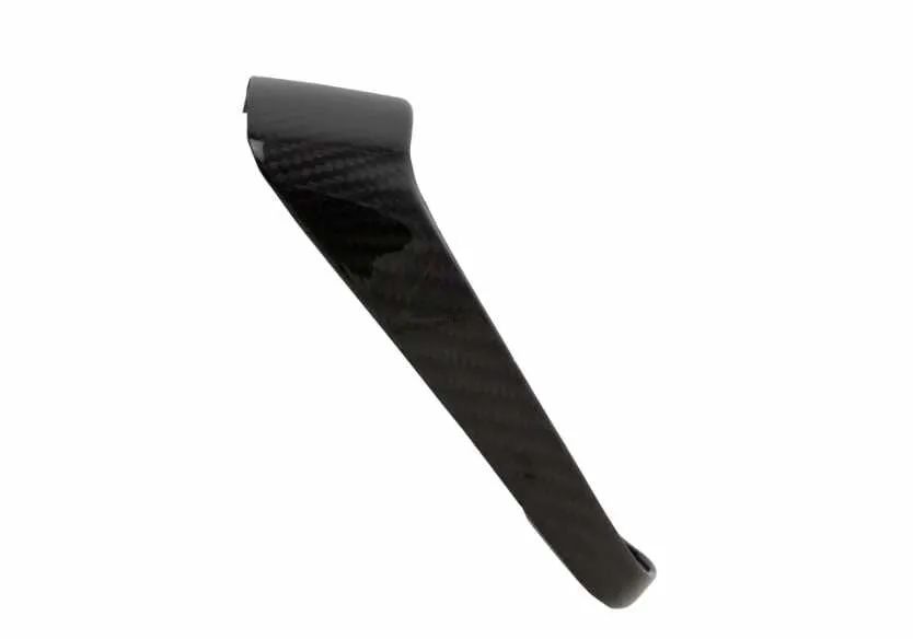 Frame Rear Light Carbon Fiber RACEFOXX | Vespa Primavera/Sprint 50-150cc ('18-)
