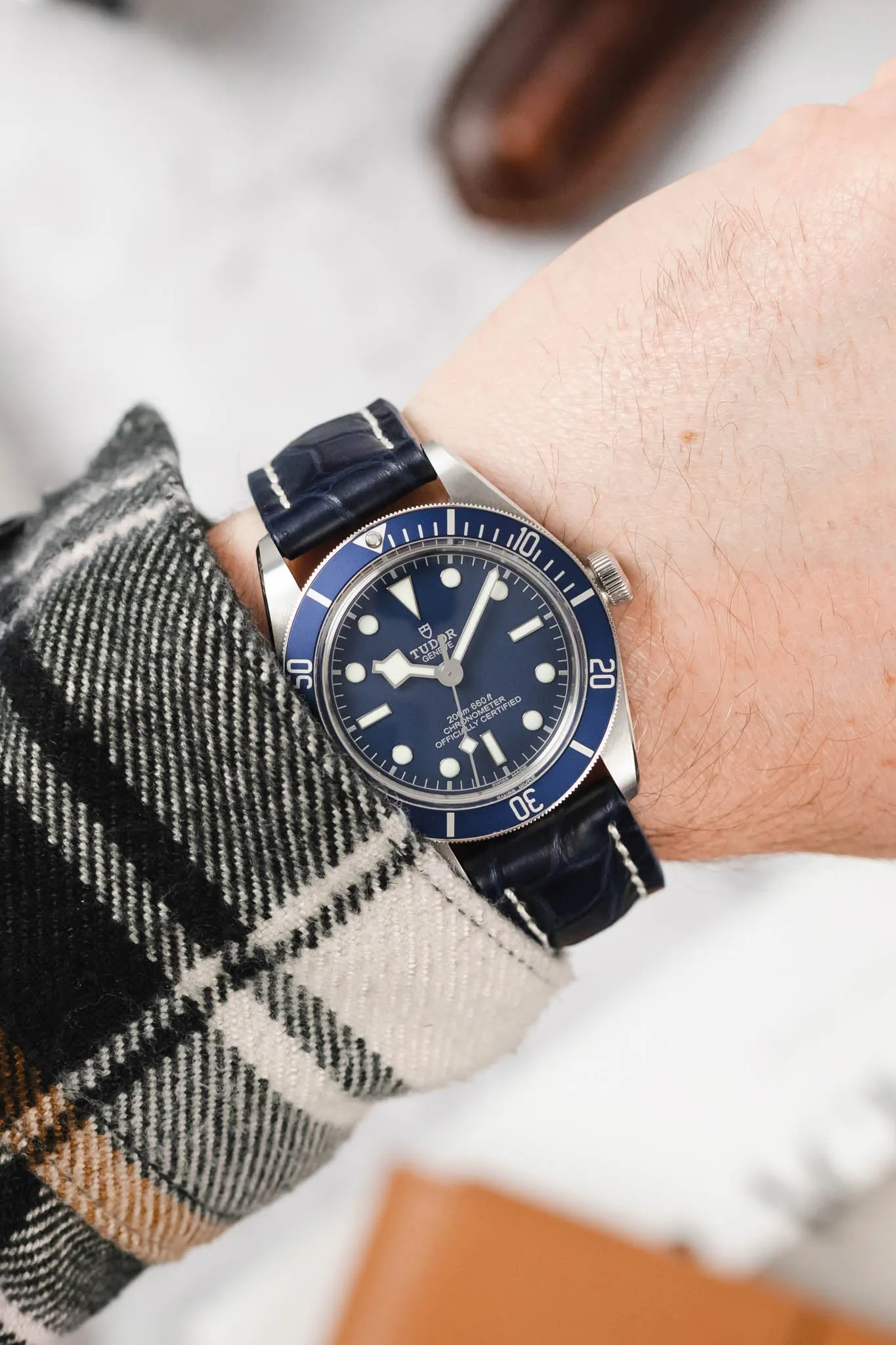 RIOS1931 AMBASSADOR Genuine Alligator Flank Padded Watch Strap in OCEAN BLUE