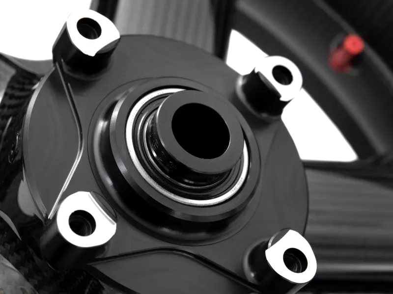 ROTOBOX RBX2 Rear DUCATI Sport 1000 2008