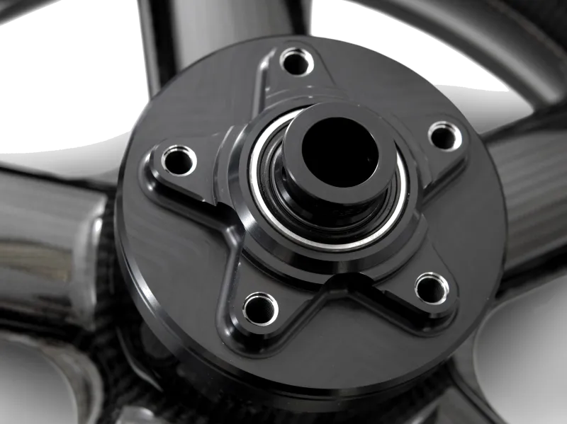 ROTOBOX RBX2 Rear DUCATI Sport 1000 2008