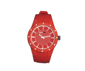 SEBA - TIMING WATCHES